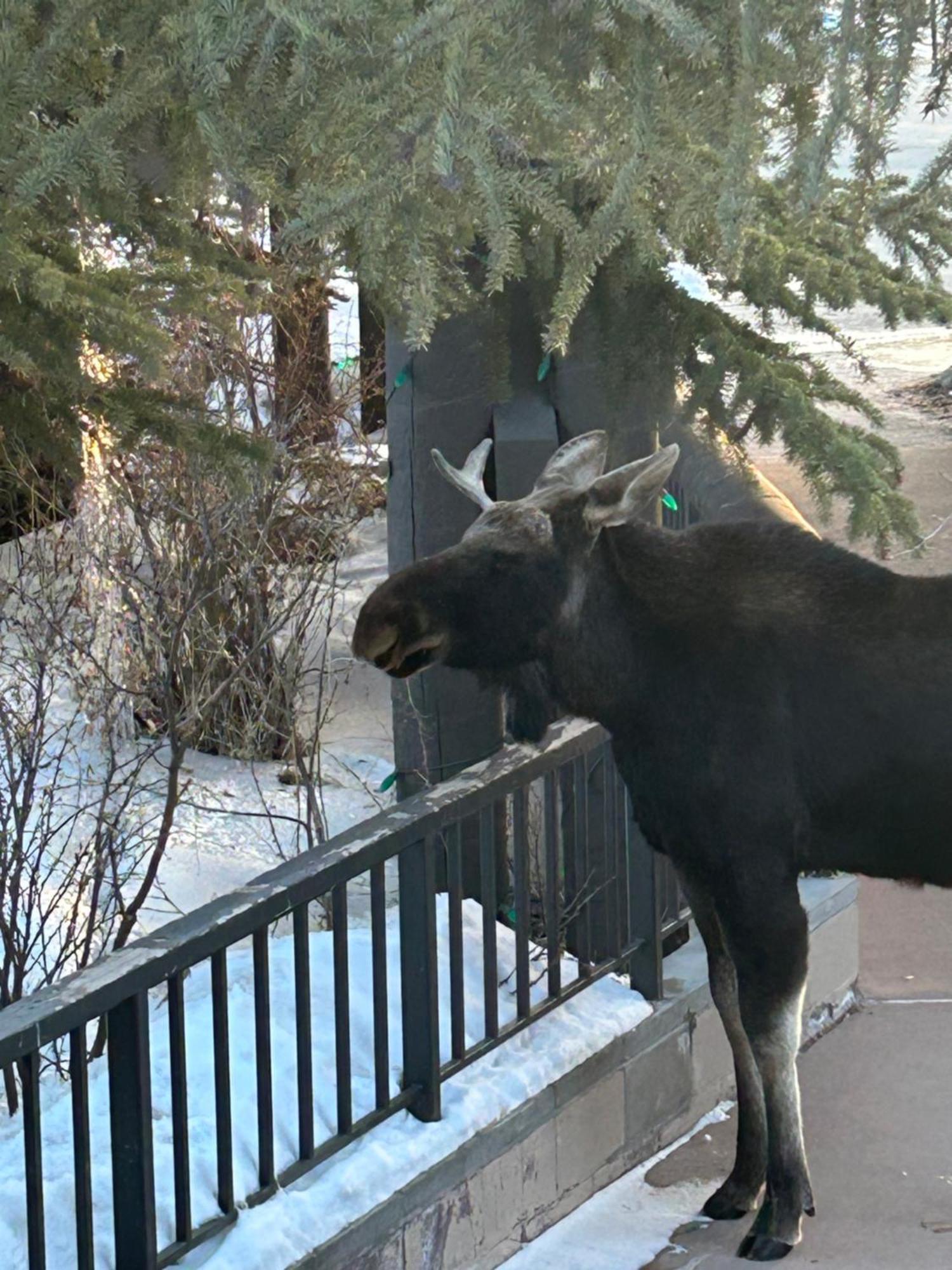 Red Hawk Lodge 2222 By Summitcove Lodging Keystone Bagian luar foto